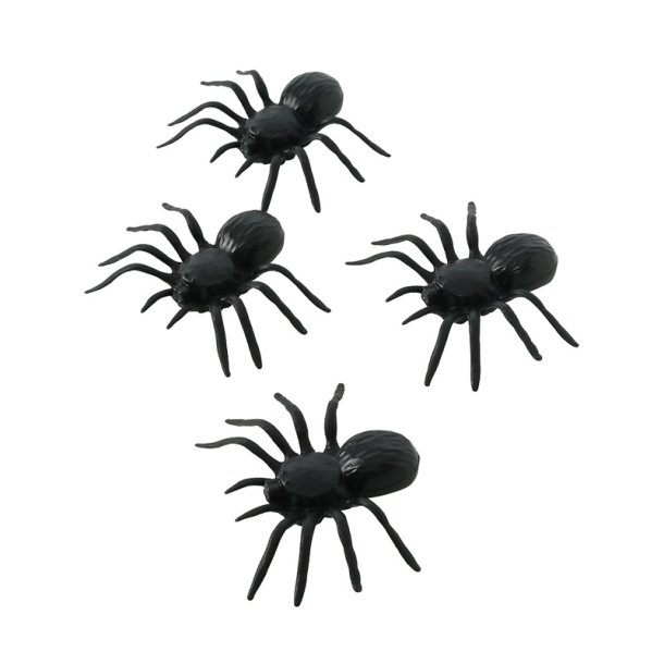 4 Spiders