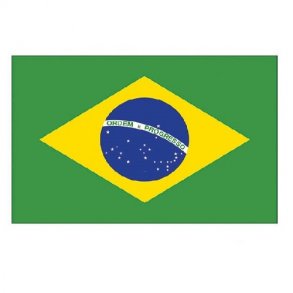 Brasilien flag