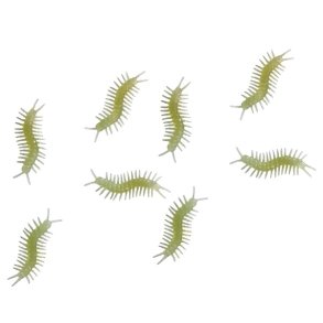 Glow in Dark bugs