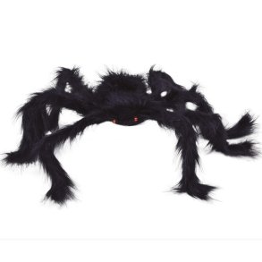 Big black spider 