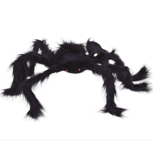 Big black spider 