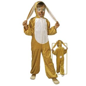Hare kostume