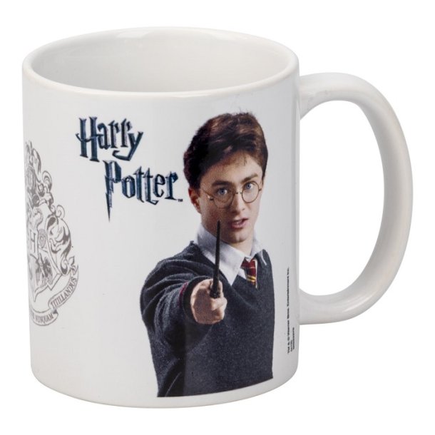 Harry Potter krus