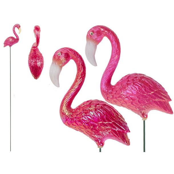 Flamingo p pind