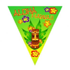 Hawaii flagbanner