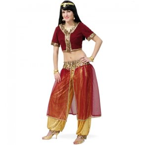Rani Indien kostume