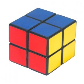 Rubiks 2 x 2 professorterning