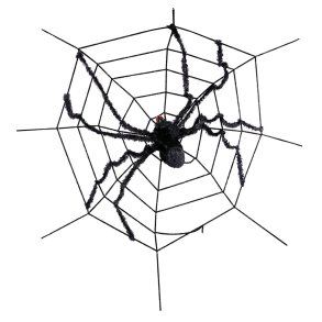 Stor edderkop p net