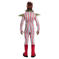 David Bowie kostume