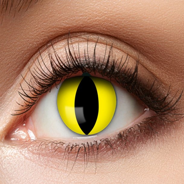 Yellow Cat linser 